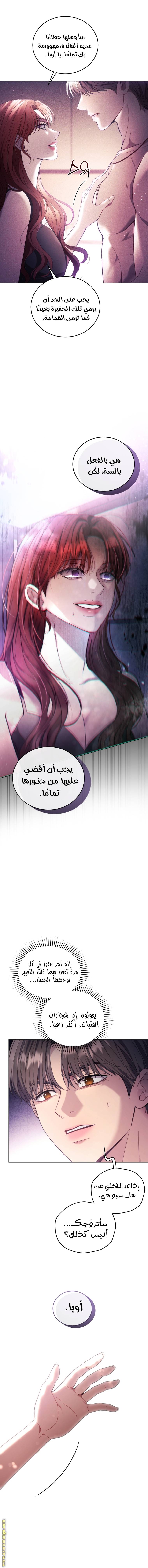 الصفحة 17