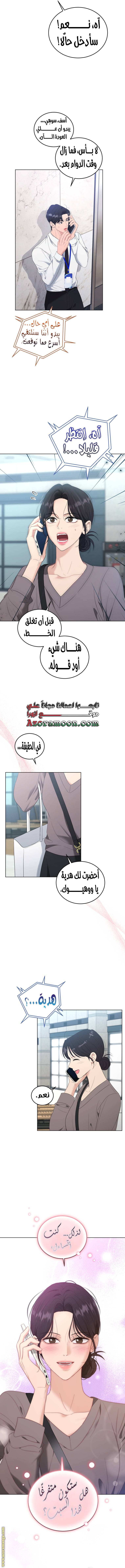 الصفحة 11