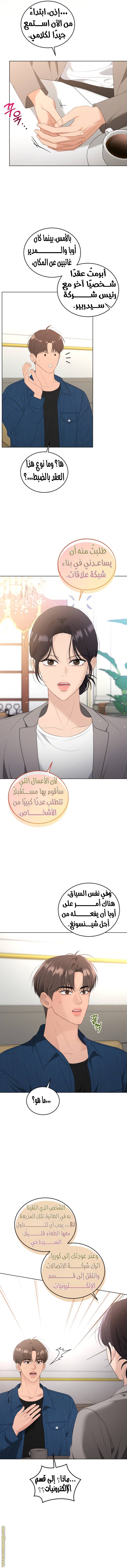 الصفحة 13