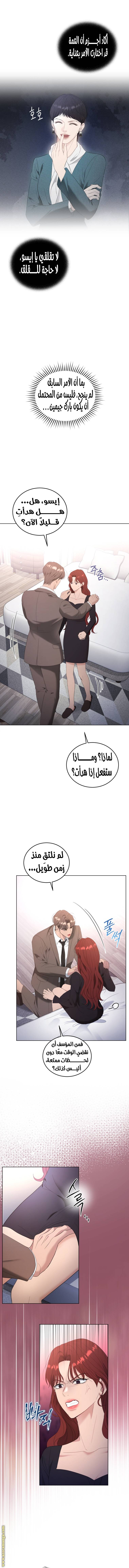 الصفحة 13
