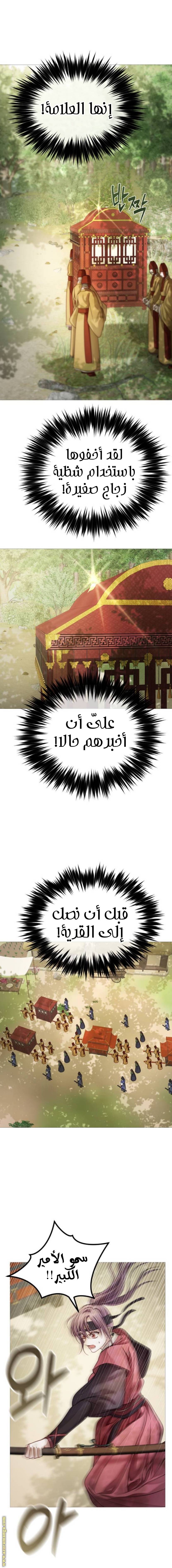 الصفحة 13
