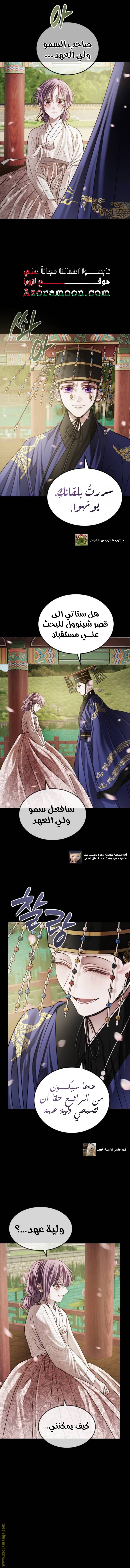 الصفحة 13