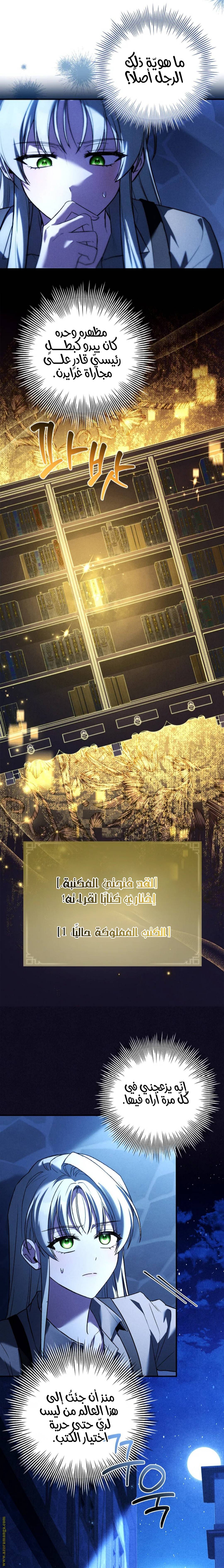 الصفحة 17