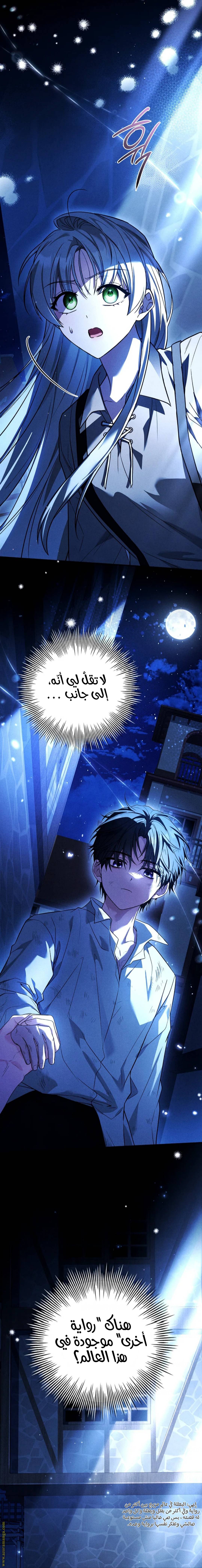 الصفحة 19