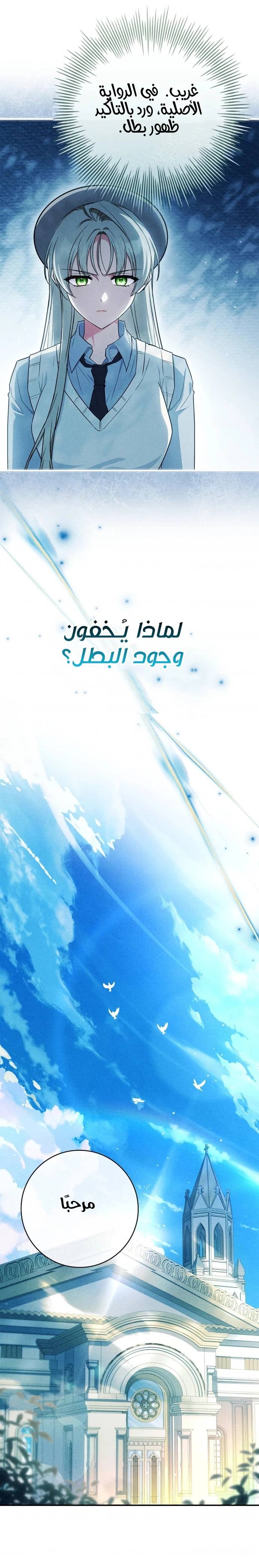 الصفحة 12