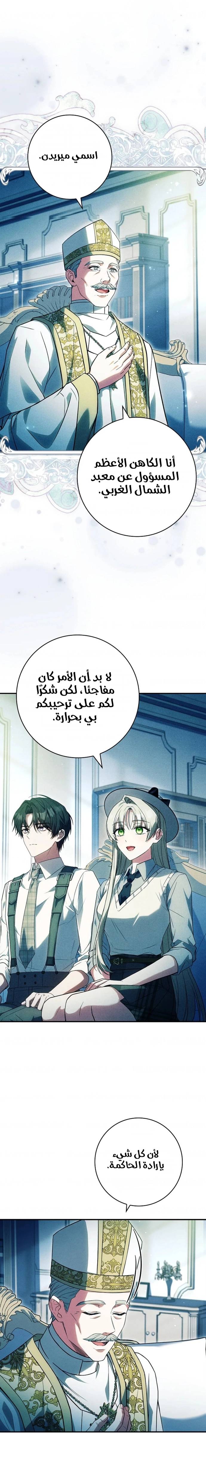 الصفحة 13