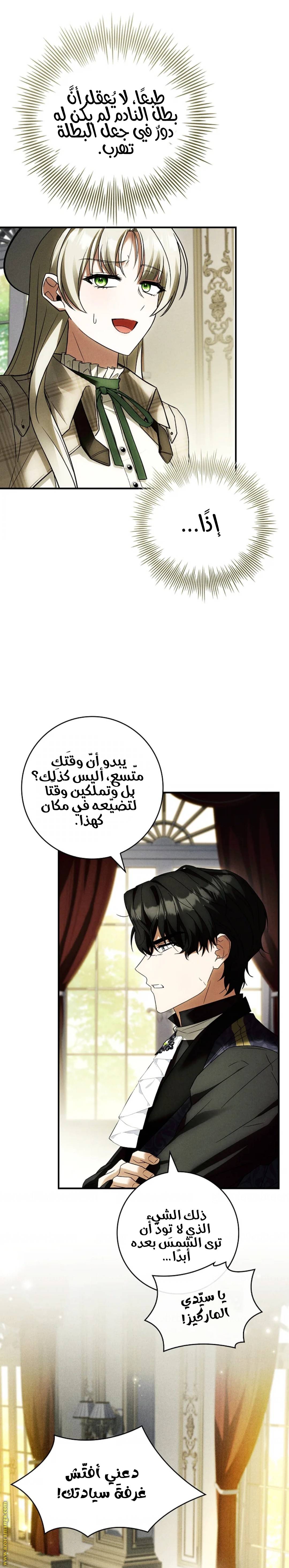 الصفحة 13
