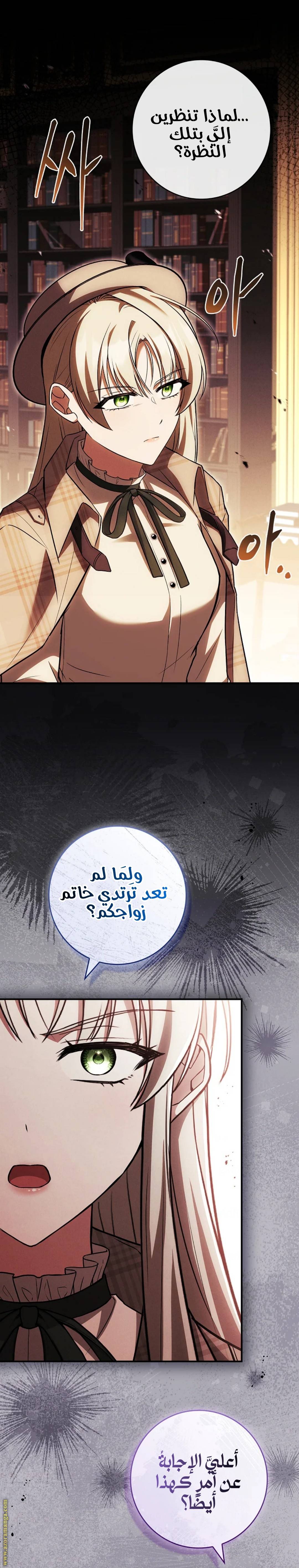 الصفحة 27