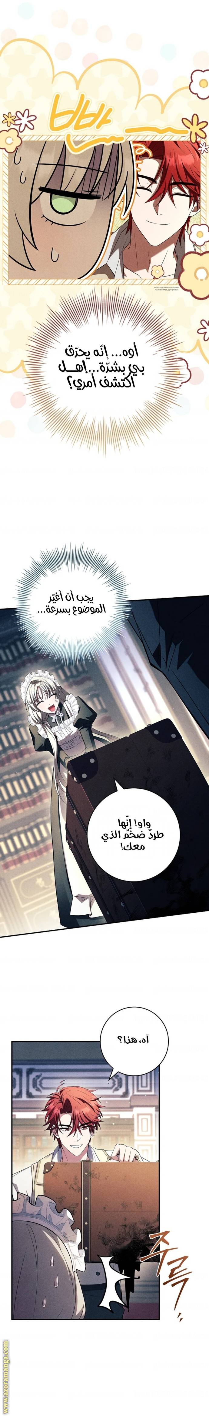 الصفحة 11