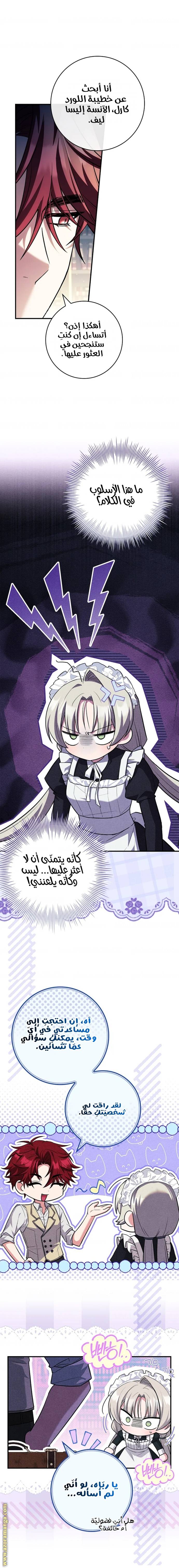 الصفحة 14