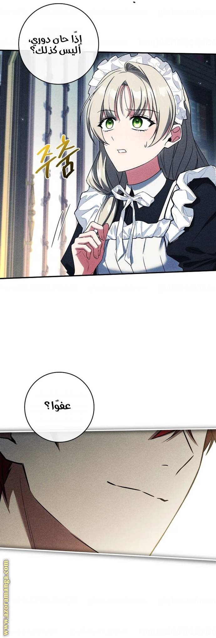 الصفحة 19