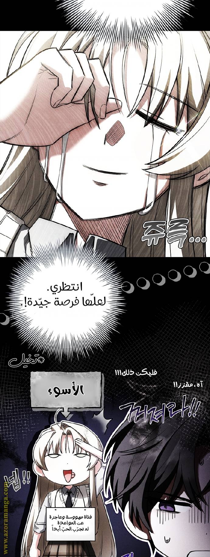 الصفحة 48
