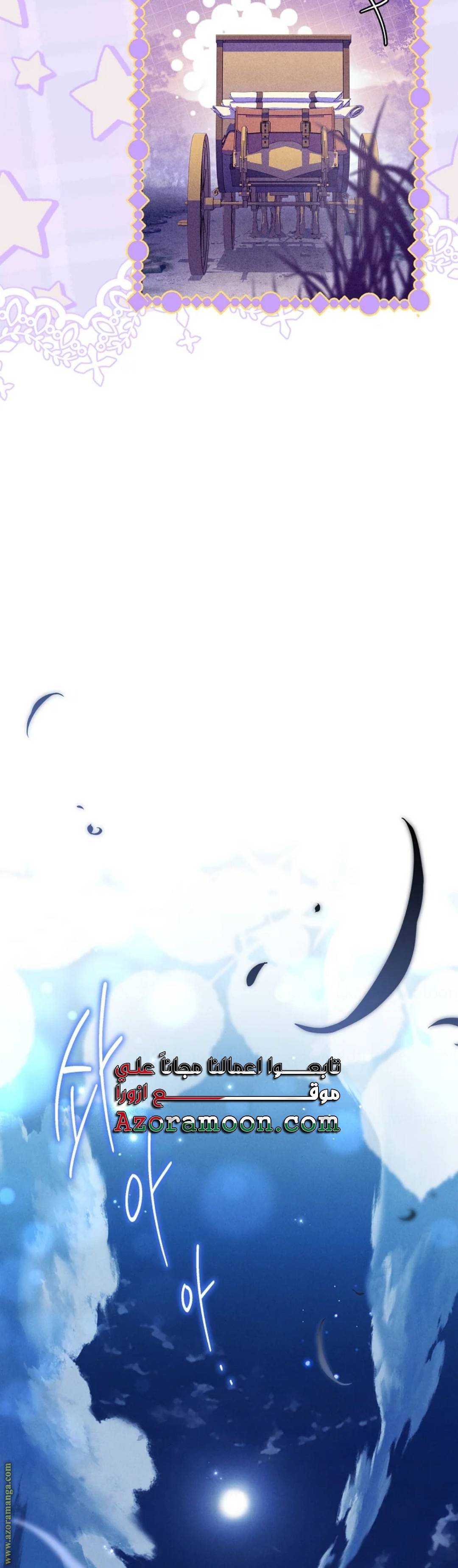 الصفحة 29