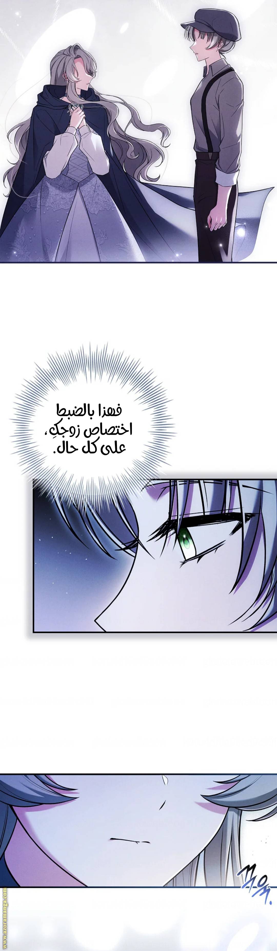 الصفحة 43
