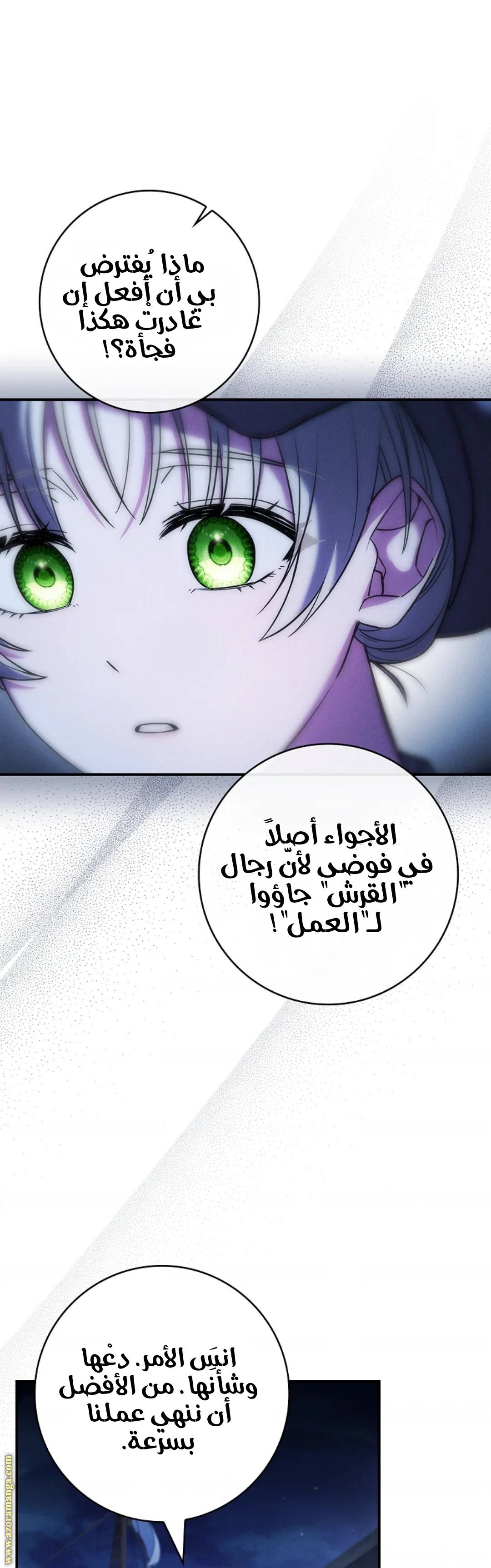 الصفحة 46