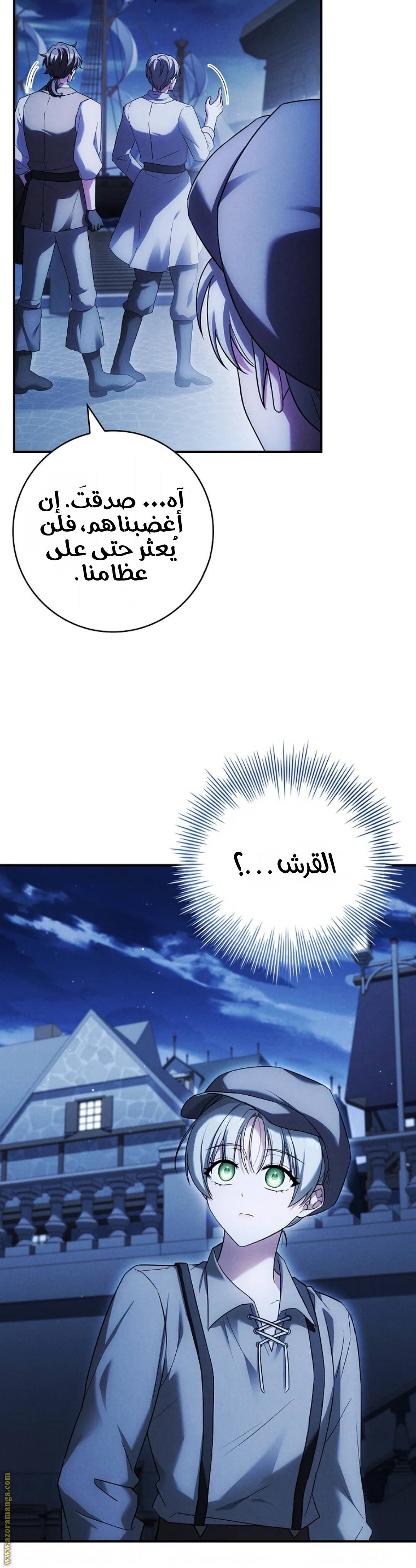 الصفحة 47
