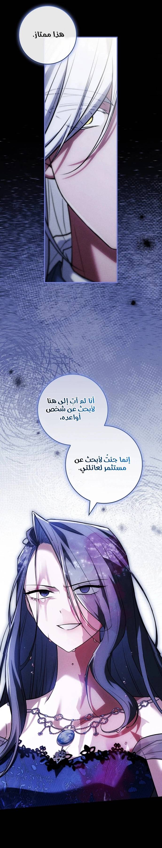 الصفحة 27