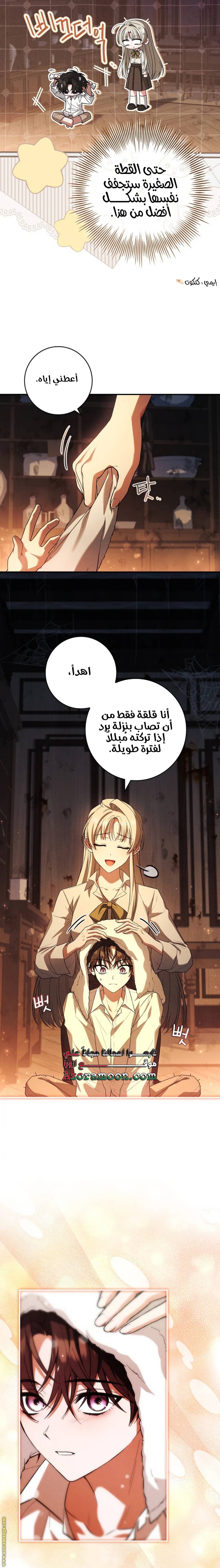 الصفحة 19