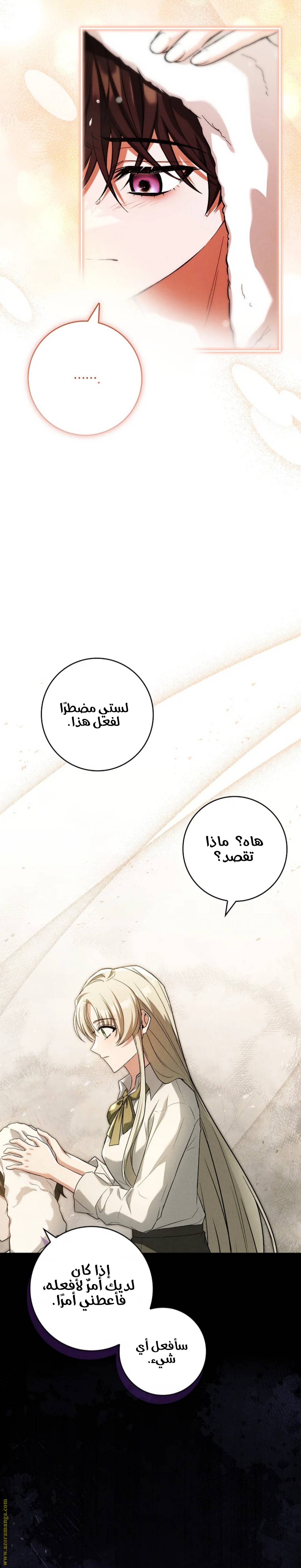 الصفحة 20