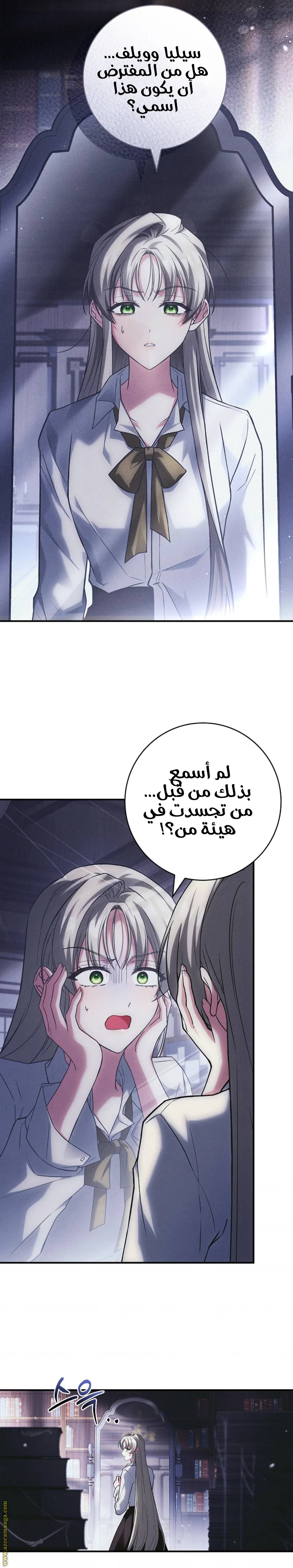 الصفحة 21