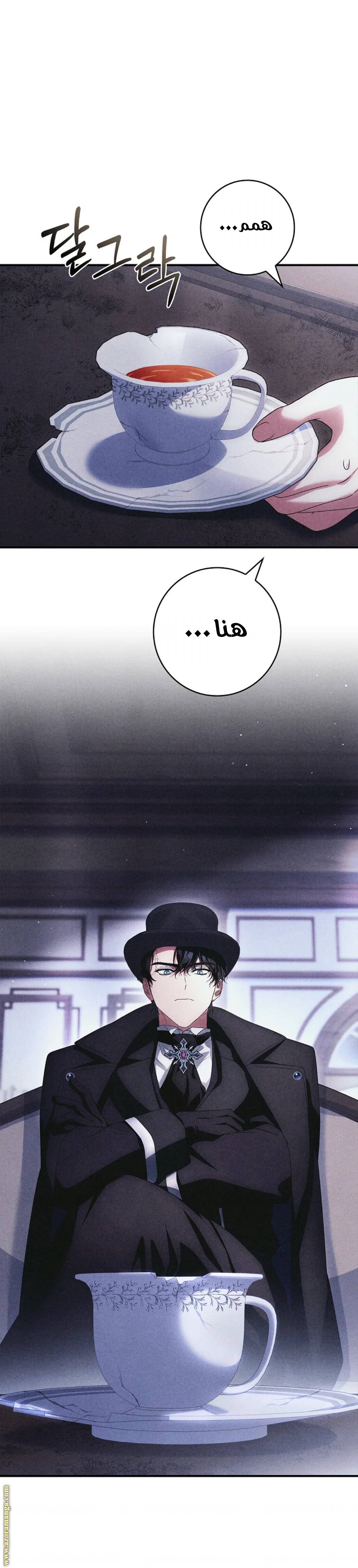 الصفحة 35