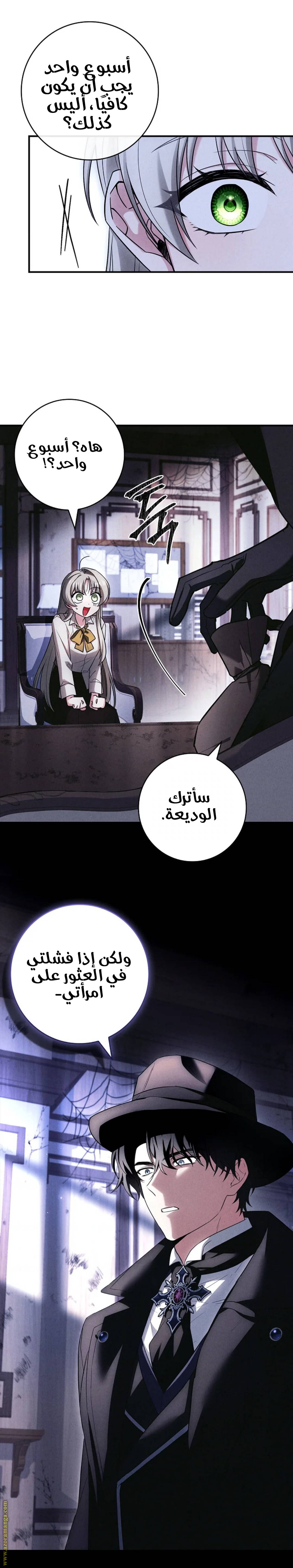 الصفحة 41