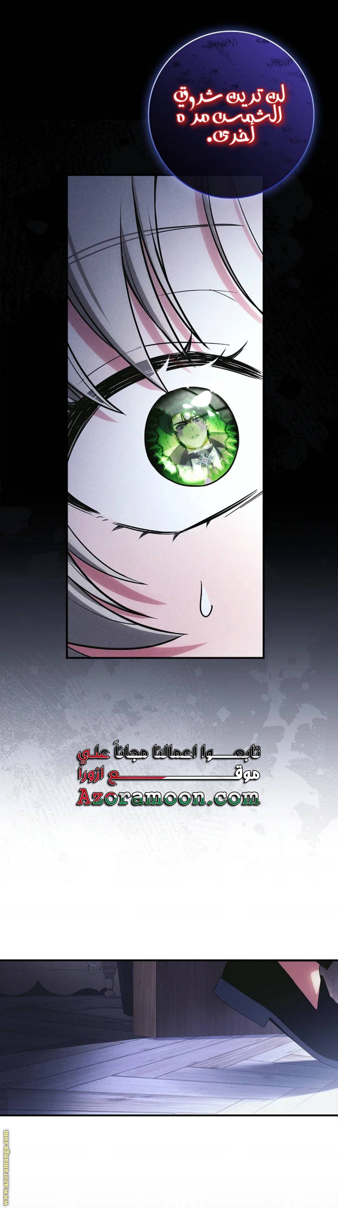 الصفحة 42