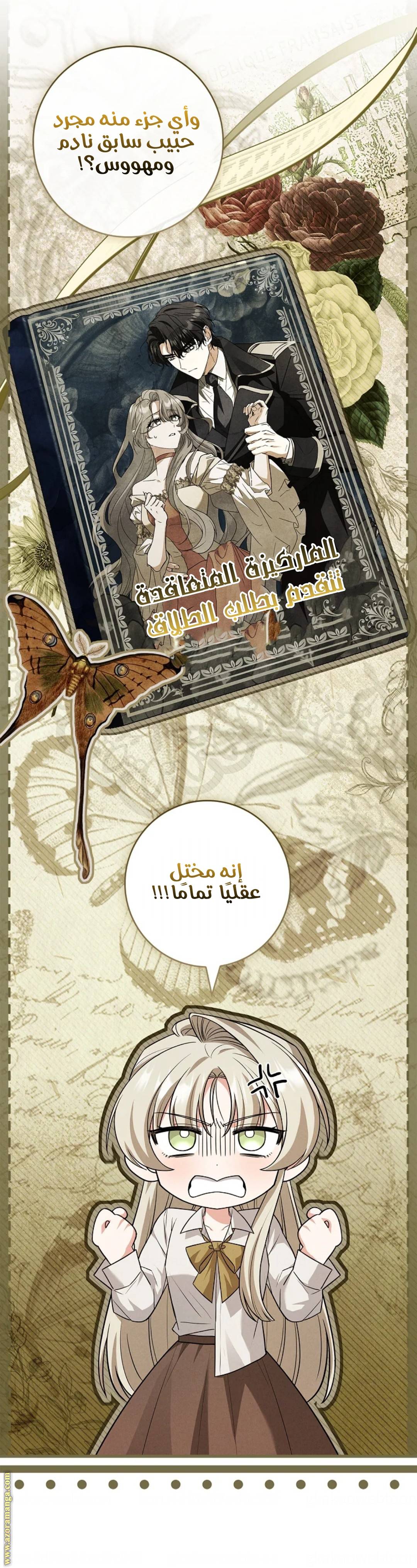 الصفحة 45
