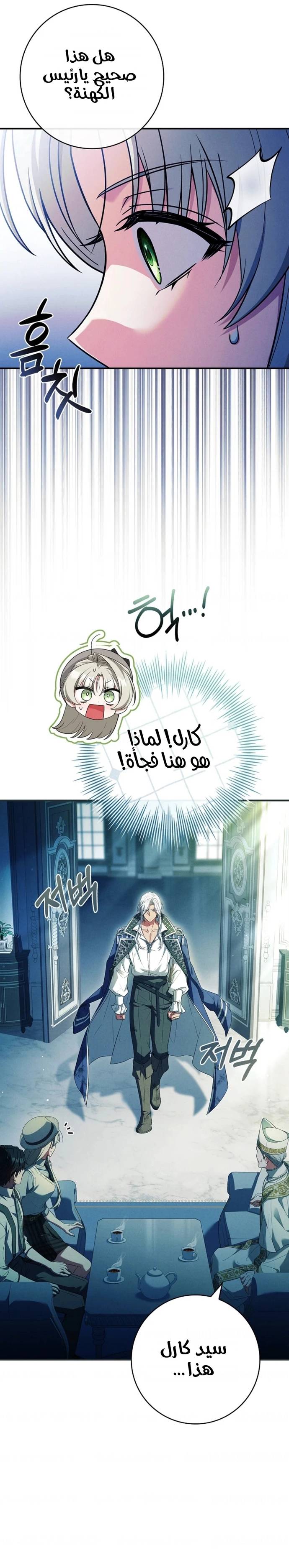 الصفحة 20