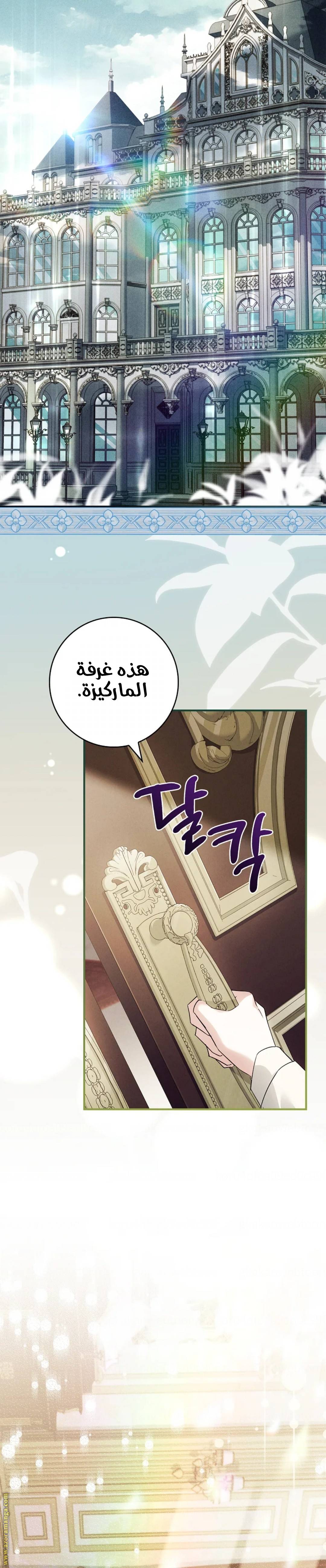 الصفحة 20