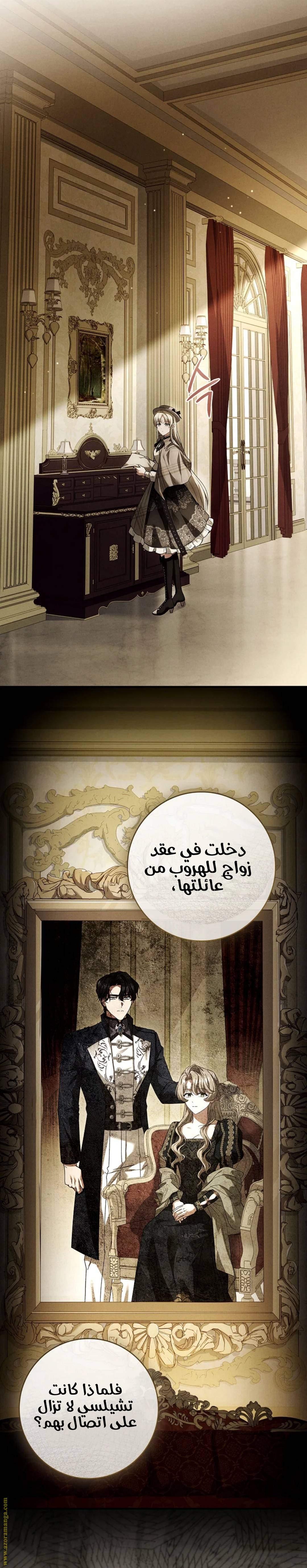 الصفحة 27