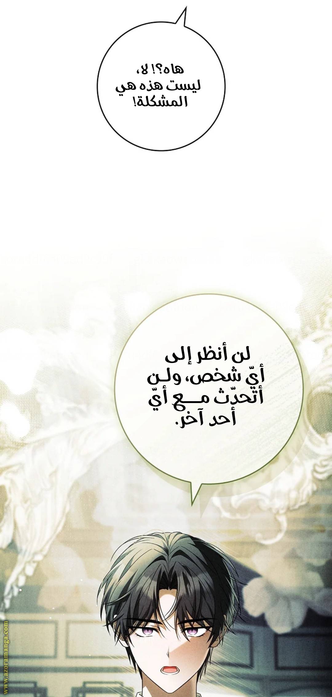الصفحة 25