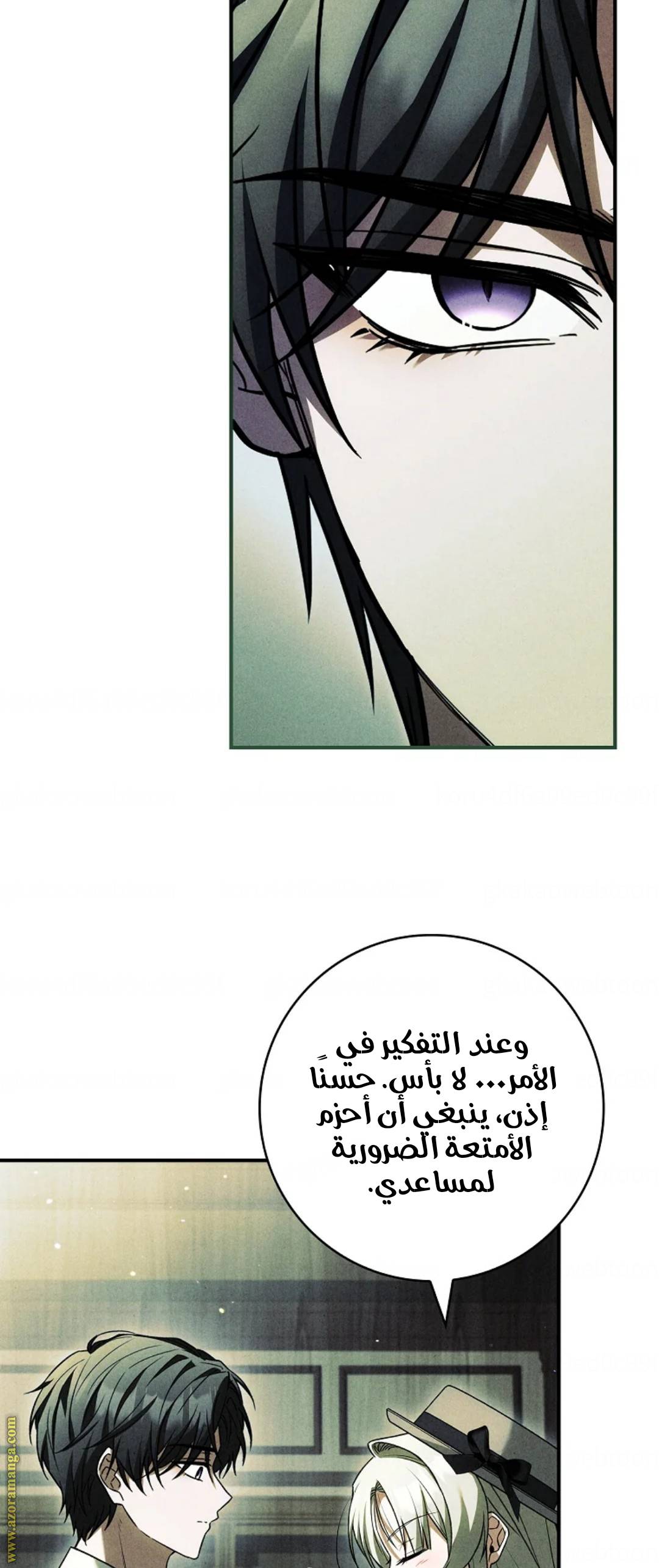 الصفحة 29