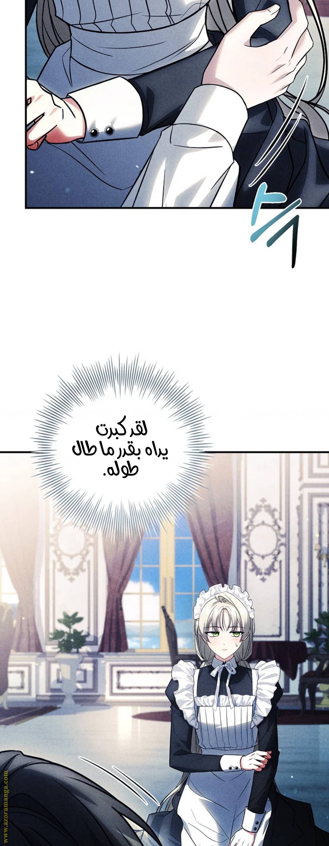 الصفحة 62