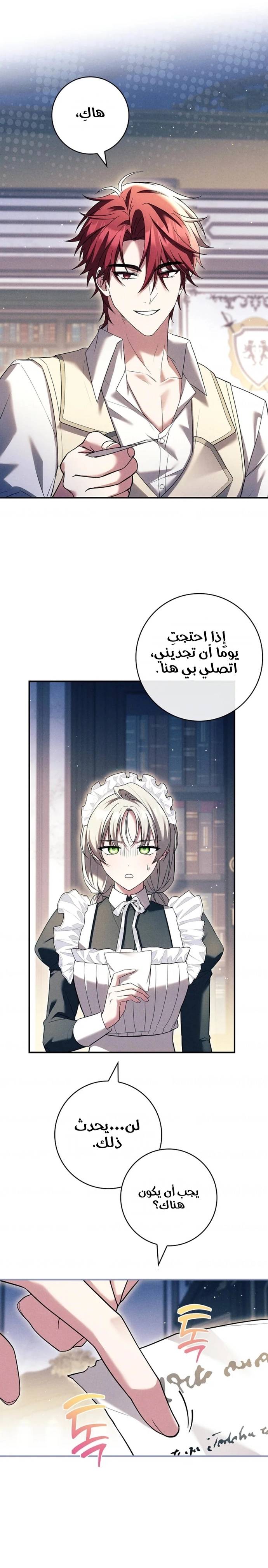 الصفحة 14