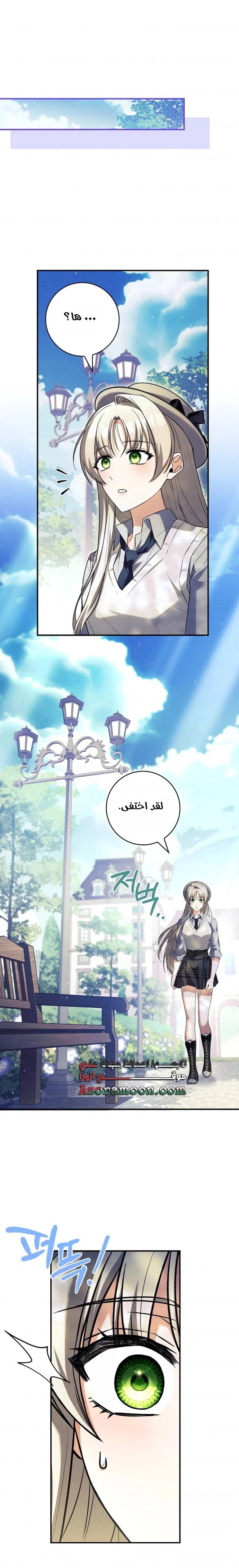 الصفحة 20