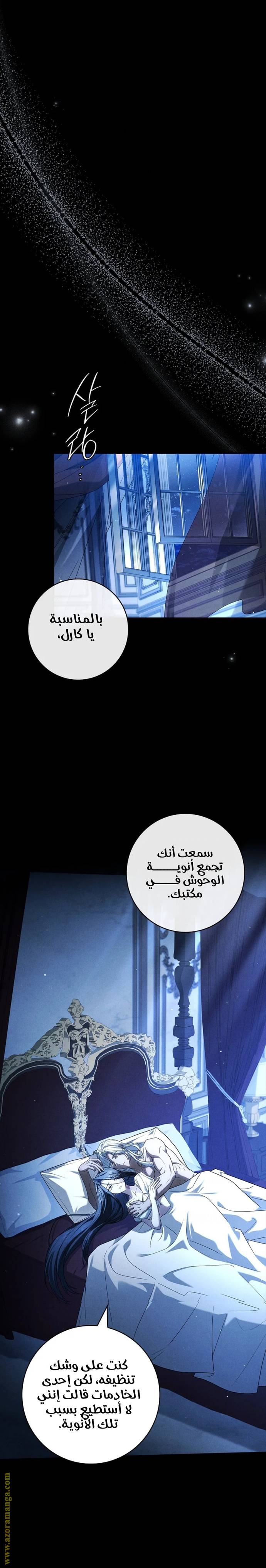 الصفحة 19