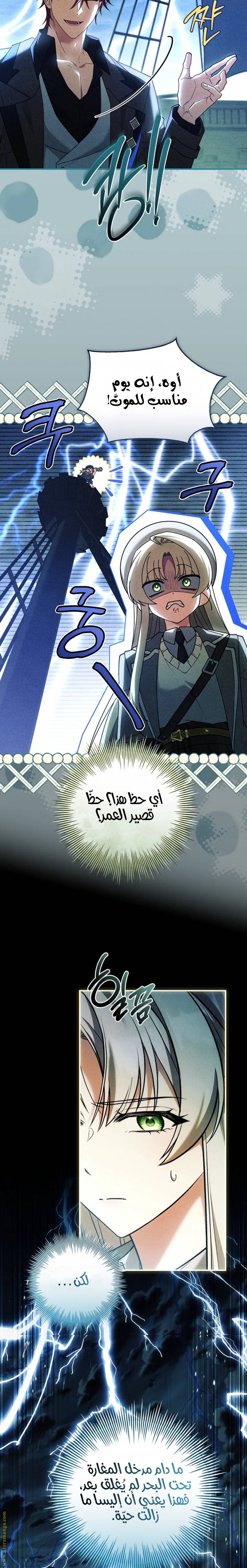 الصفحة 14