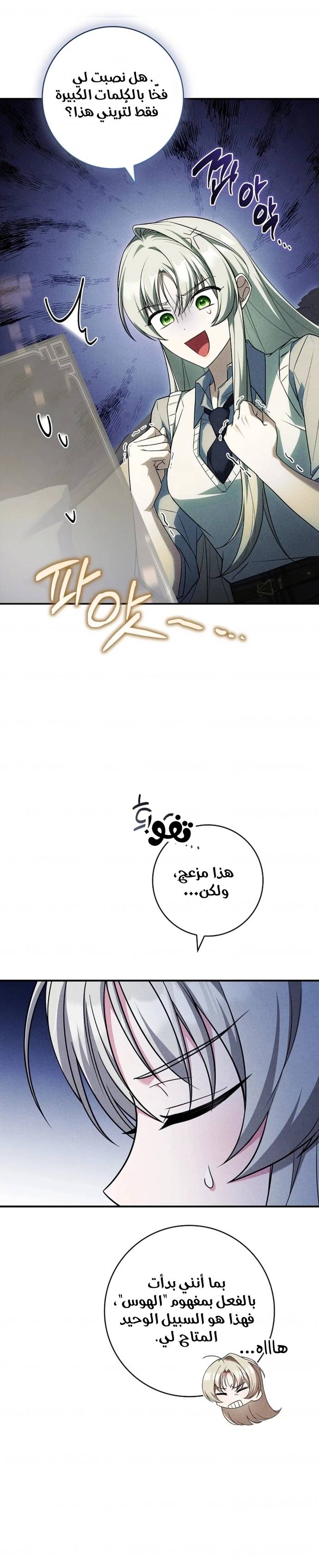 الصفحة 17