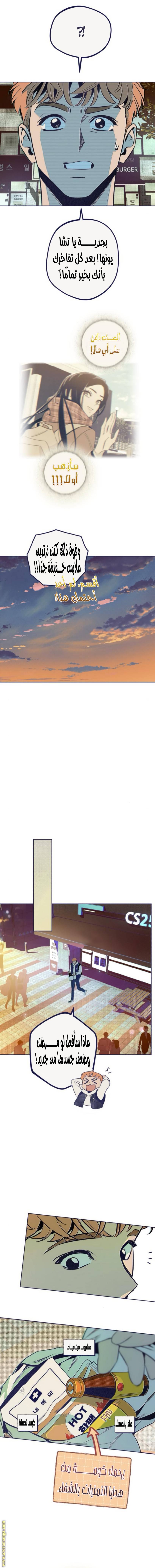 الصفحة 11