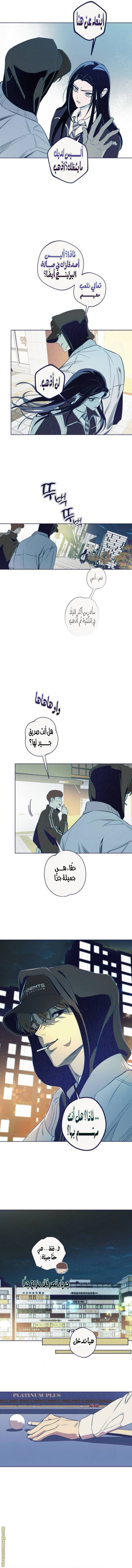 الصفحة 11