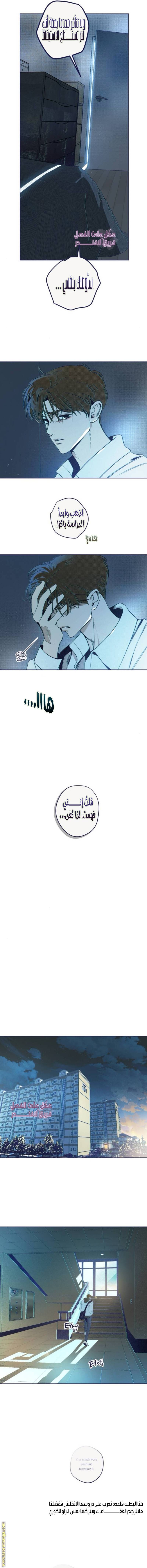 الصفحة 14