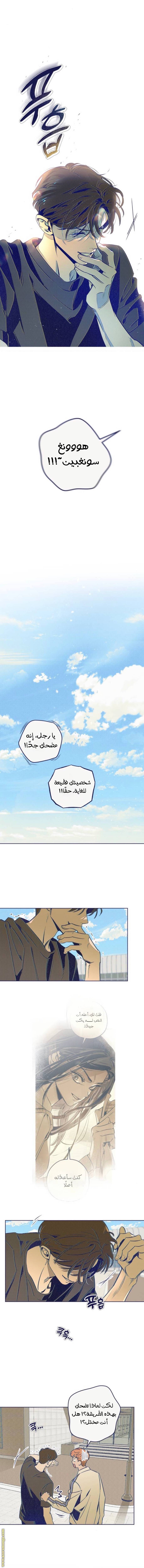 الصفحة 14