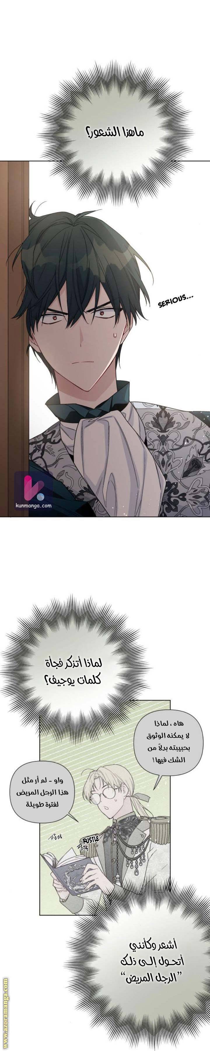 الصفحة 13