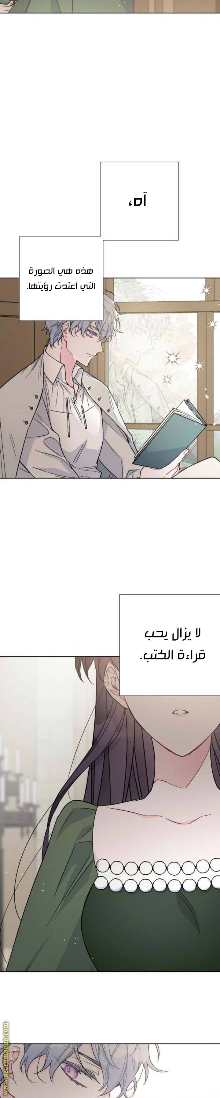 الصفحة 17