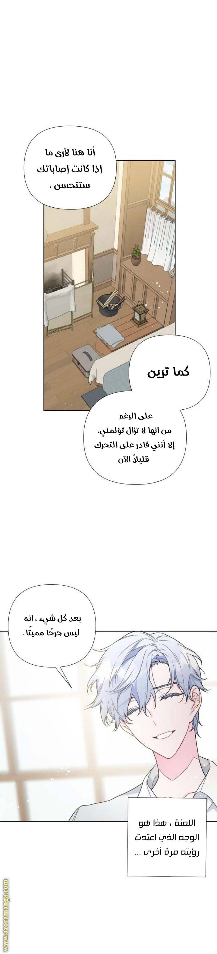 الصفحة 19