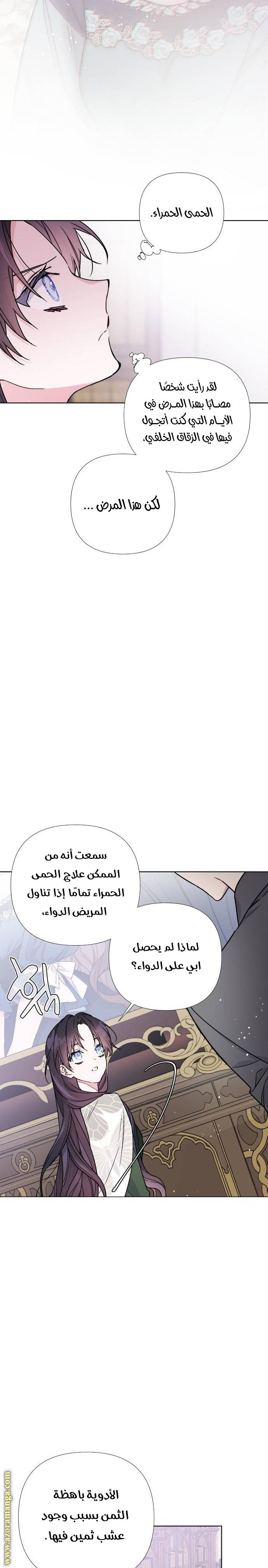 الصفحة 19