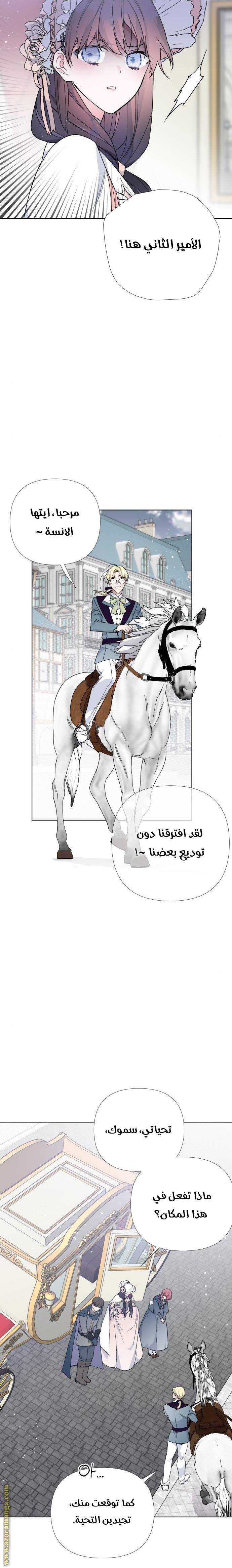 الصفحة 13