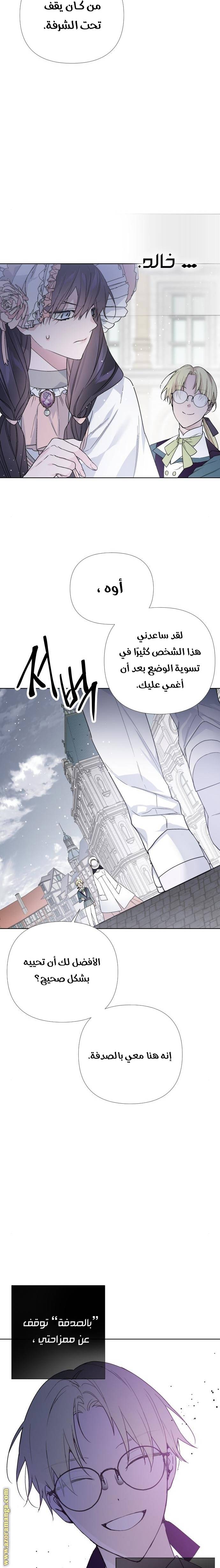 الصفحة 17