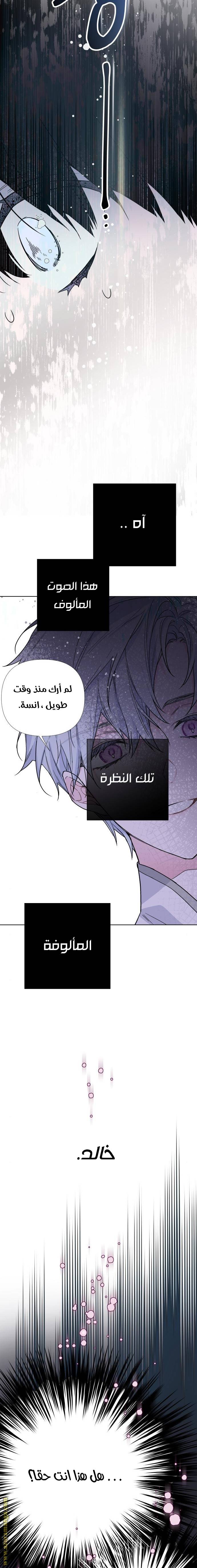 الصفحة 19